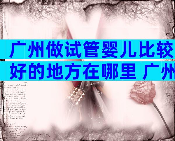 广州做试管婴儿比较好的地方在哪里 广州试管哪里做比较好